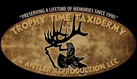 Trophy Time Taxidermy Logo